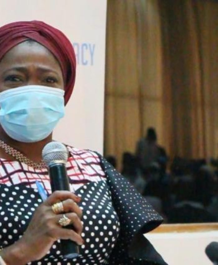 Constitution Review: Dabiri-Erewa Calls For Diaspora Voting